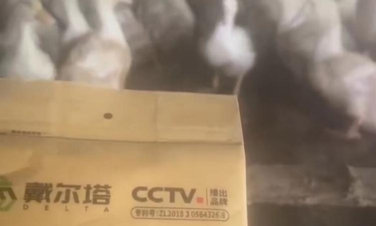 星空官方网页版-星空online(中国)
科学增免案例